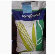 Семена гибридов  кукурузы (Рioneer, NS, Monsanto, Москва фото, цена, продажа, купить