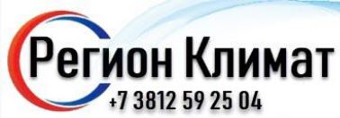 Ооо регион д. ООО регион ГАЗ. Омск регион ГАЗ. Омская газовая компания. Логотип регион ГАЗ сервис.